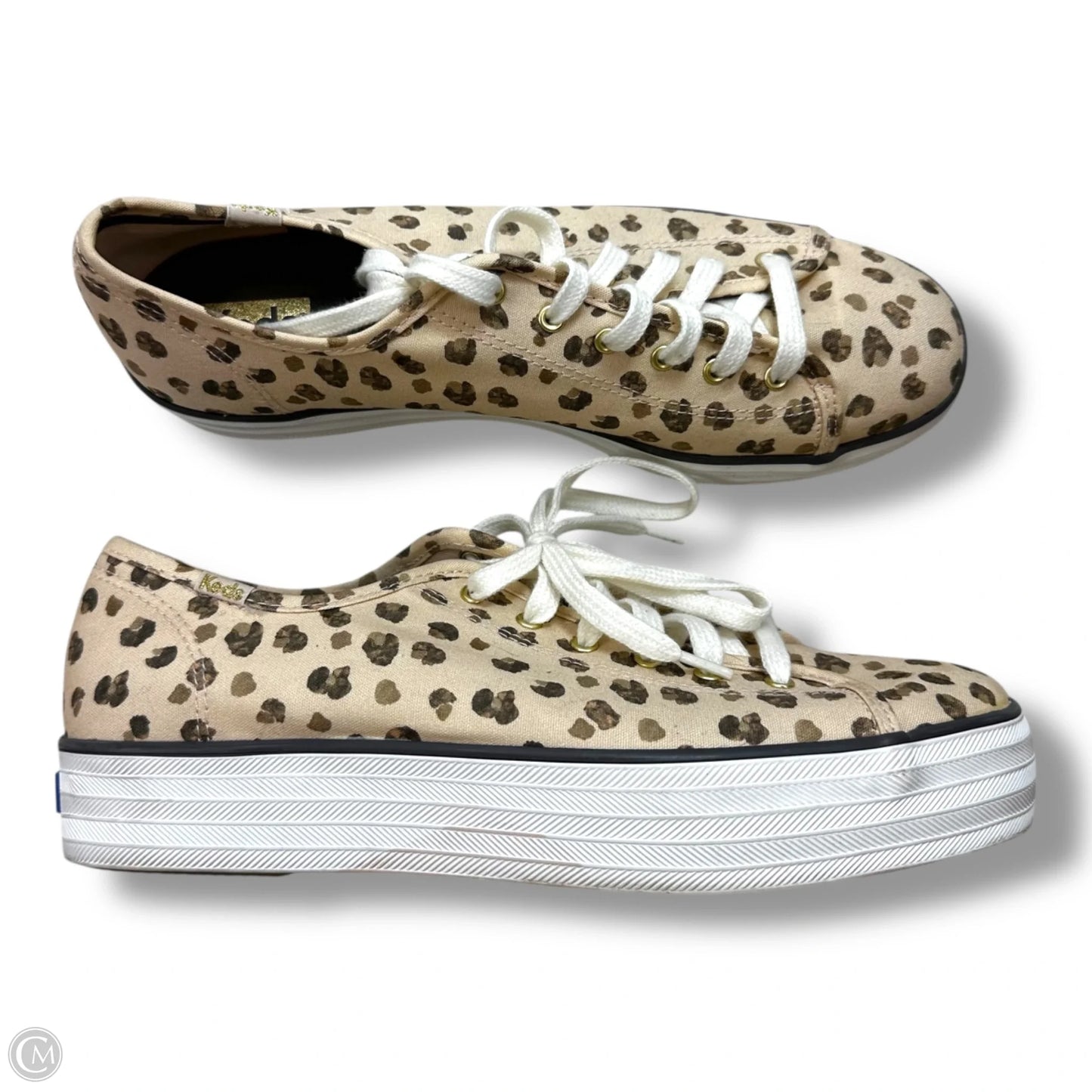 Shoes Sneakers By Keds In Leopard Print, Size: 8