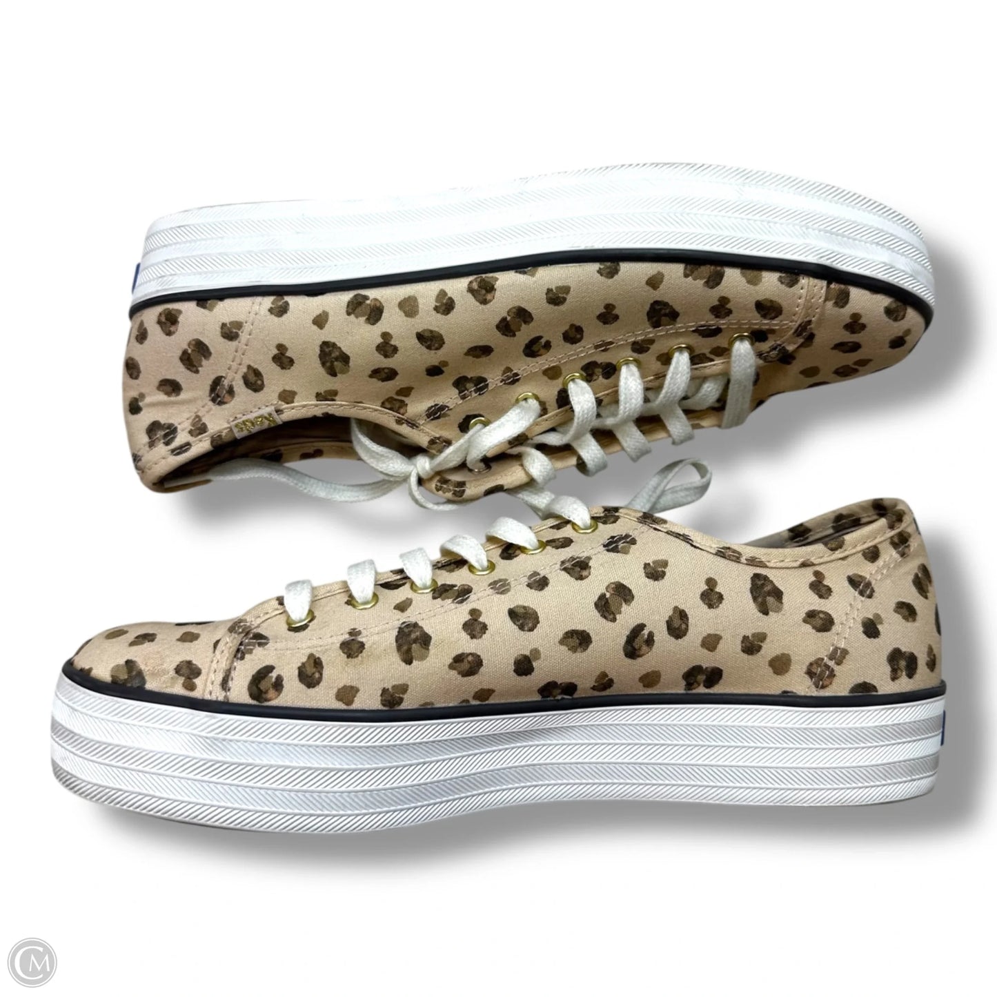 Shoes Sneakers By Keds In Leopard Print, Size: 8