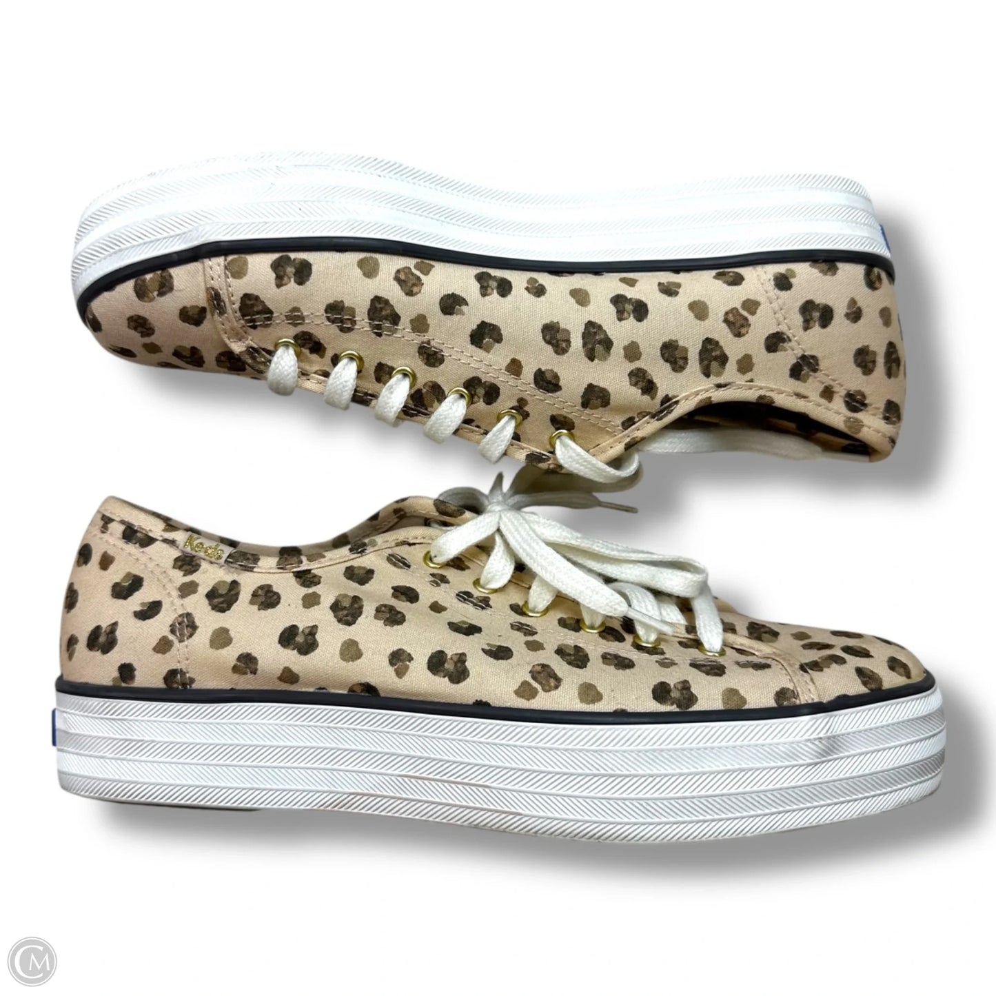 Shoes Sneakers By Keds In Leopard Print, Size: 8