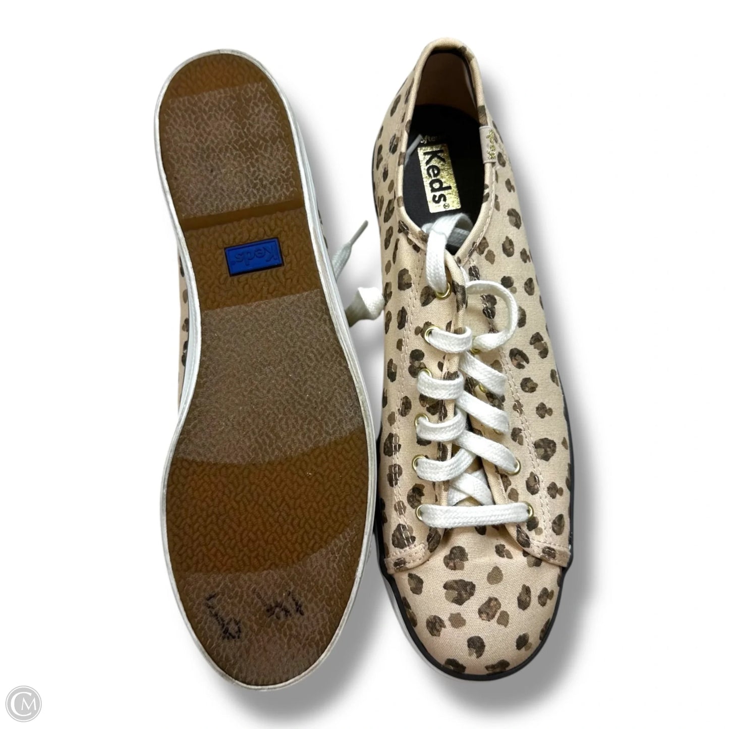 Shoes Sneakers By Keds In Leopard Print, Size: 8