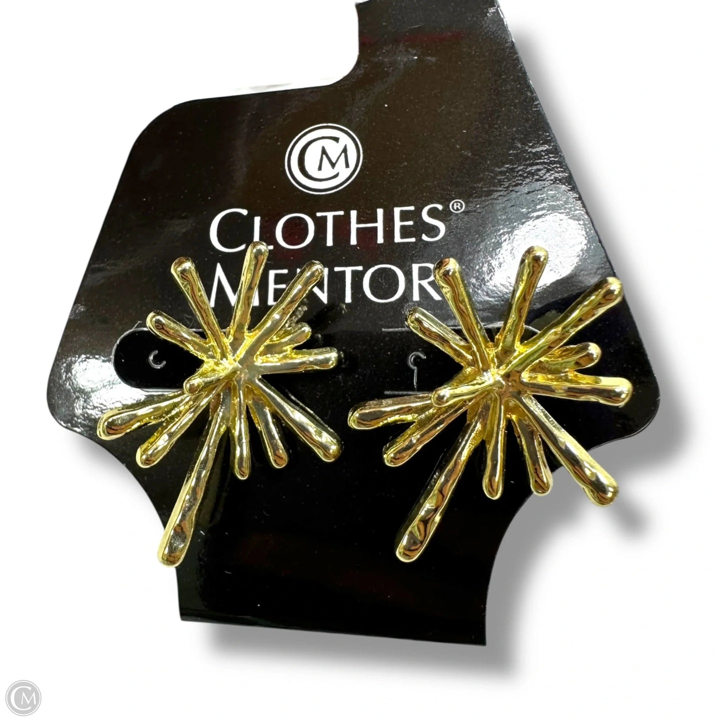 Earrings By Clothes Mentor