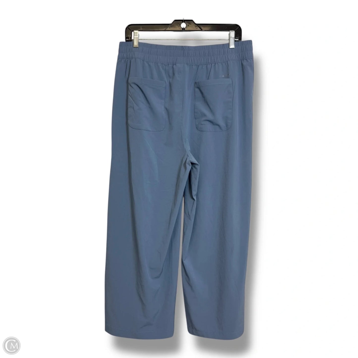 Athletic Pants By Eddie Bauer In Blue, Size: L