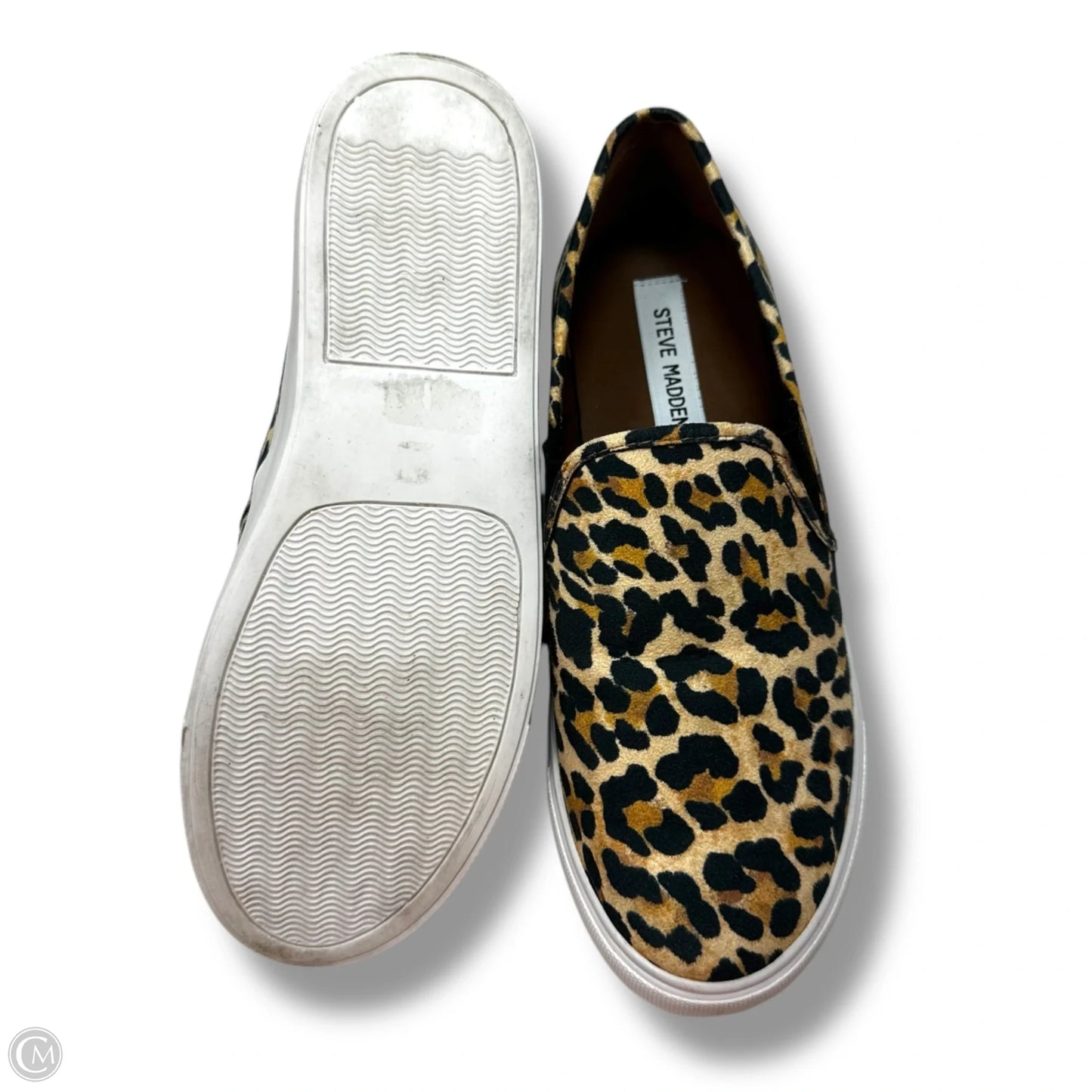 Shoes Sneakers By Steve Madden In Animal Print, Size: 8.5
