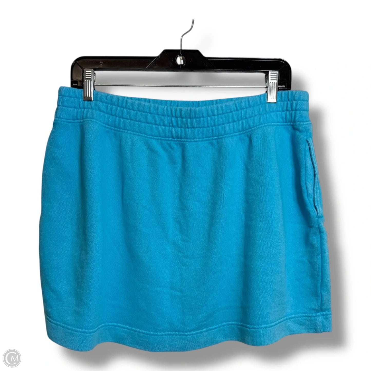 Athletic Skirt By Aerie In Blue, Size: L
