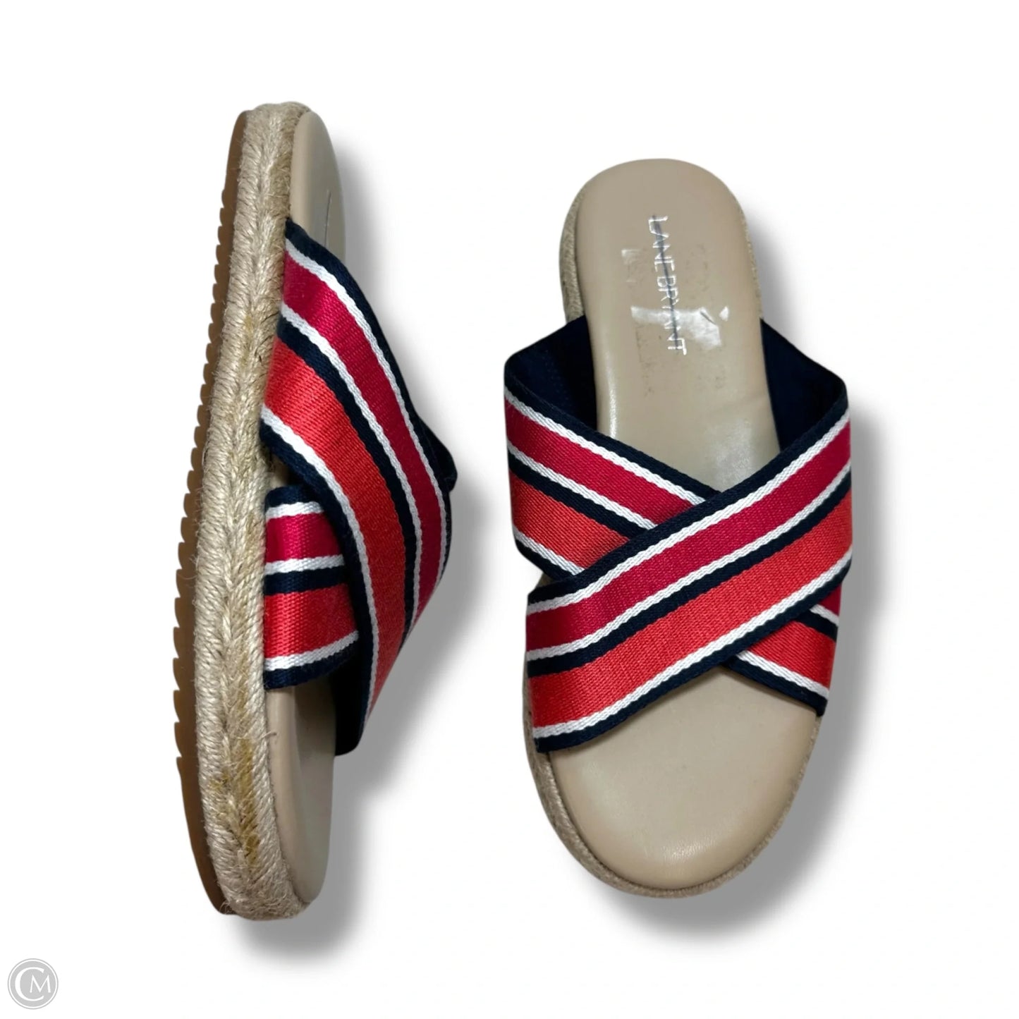 Sandals Flip Flops By Lane Bryant In Multi-colored, Size: 8