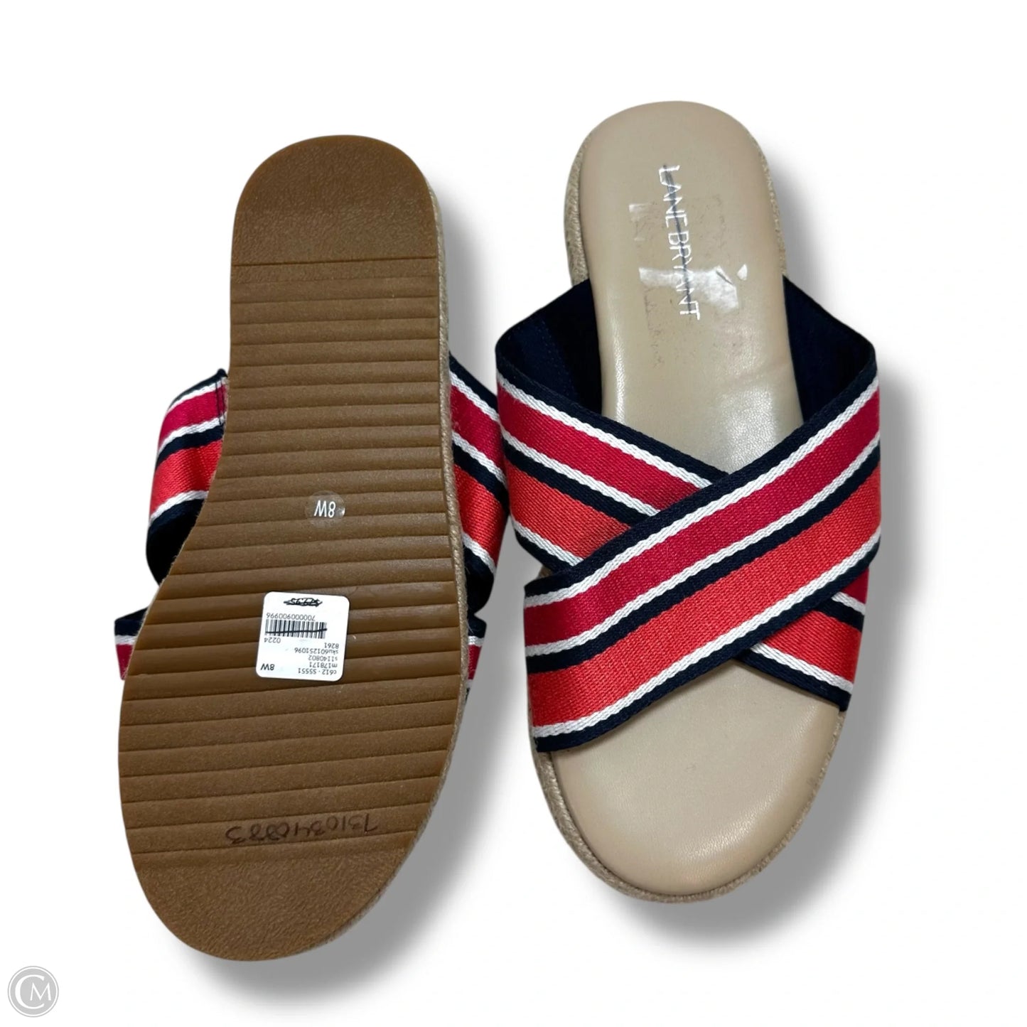 Sandals Flip Flops By Lane Bryant In Multi-colored, Size: 8