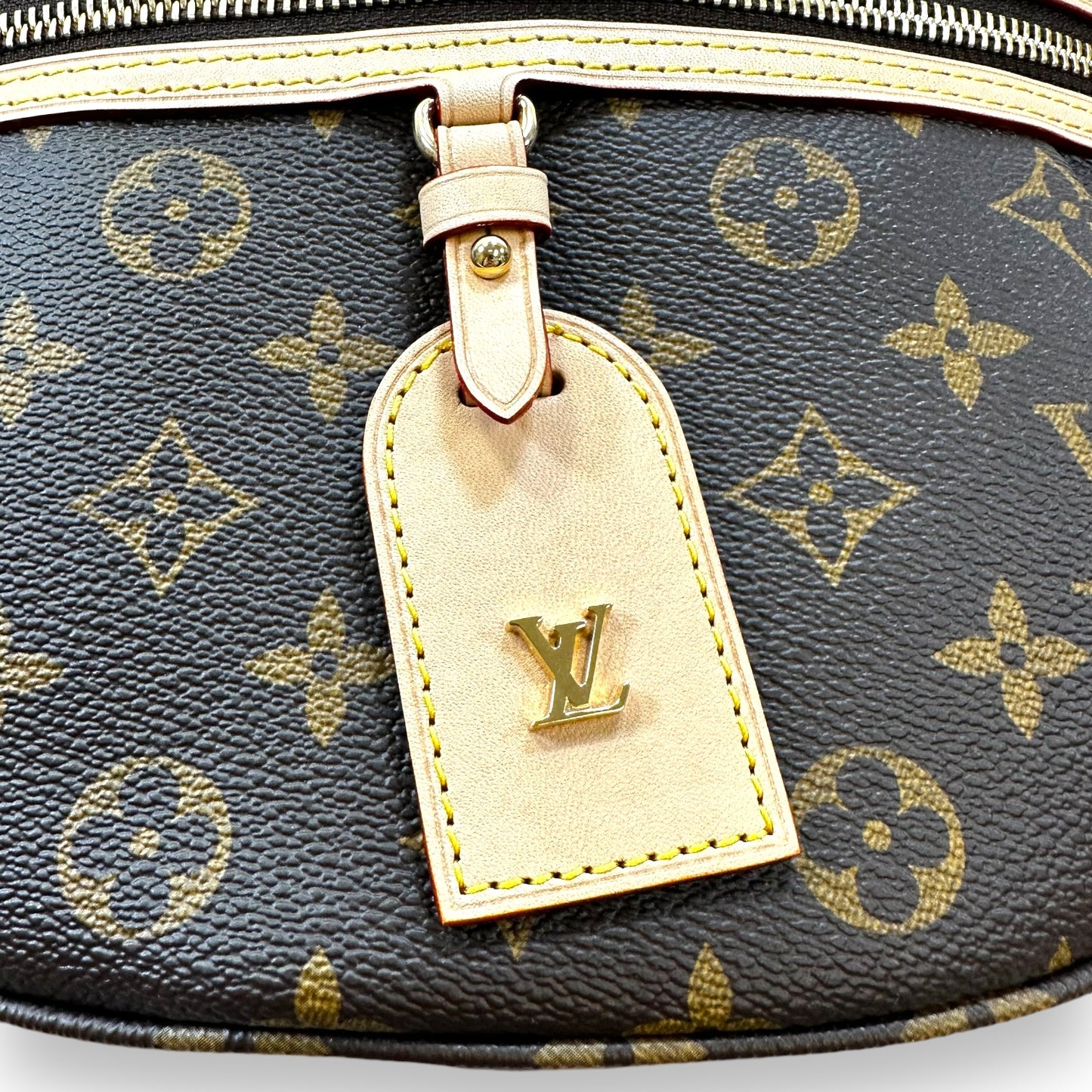 Microchipped HIGH RISE Bum bag Designer By Louis Vuitton, Size: Large