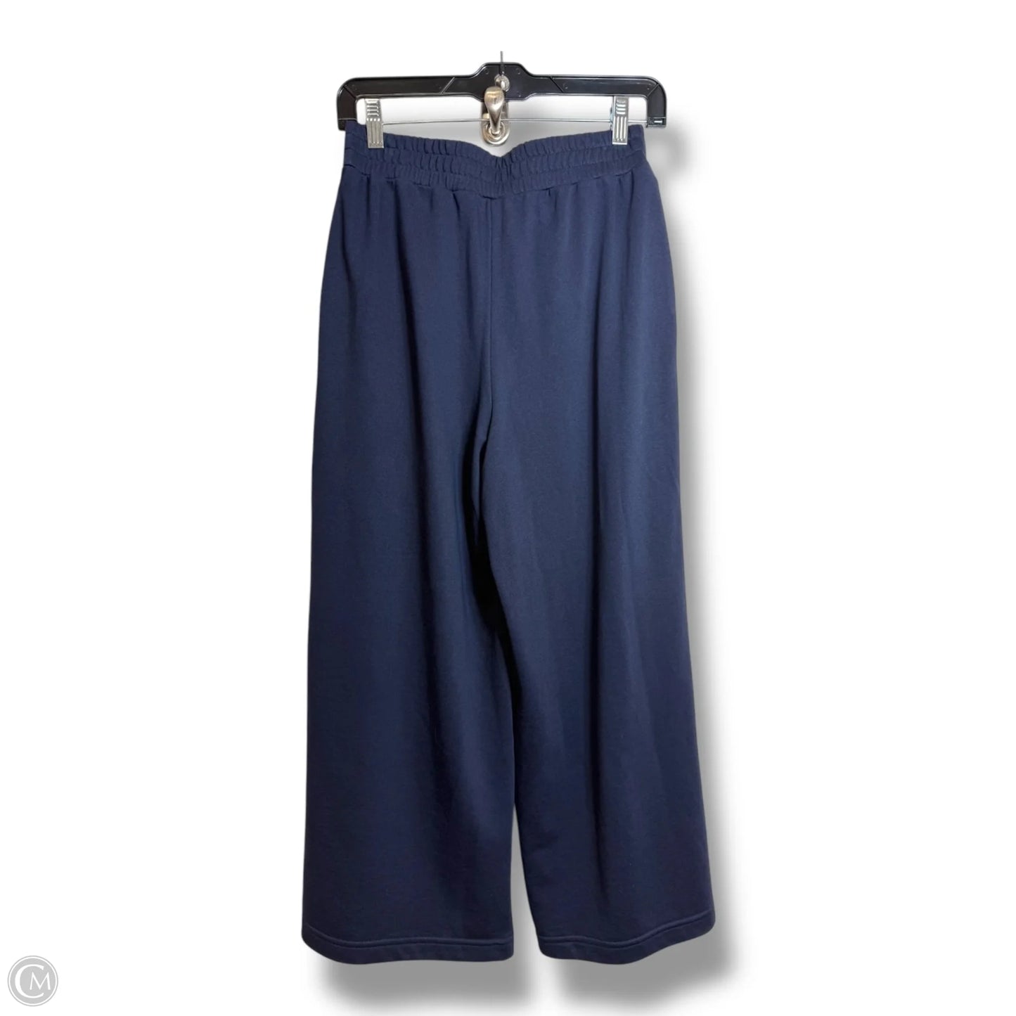 Pants Sweatpants By Express In Navy, Size: Xs