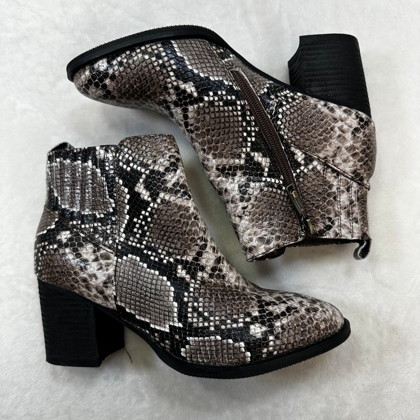 Boots Designer By Blondo In Snakeskin Print, Size: 8