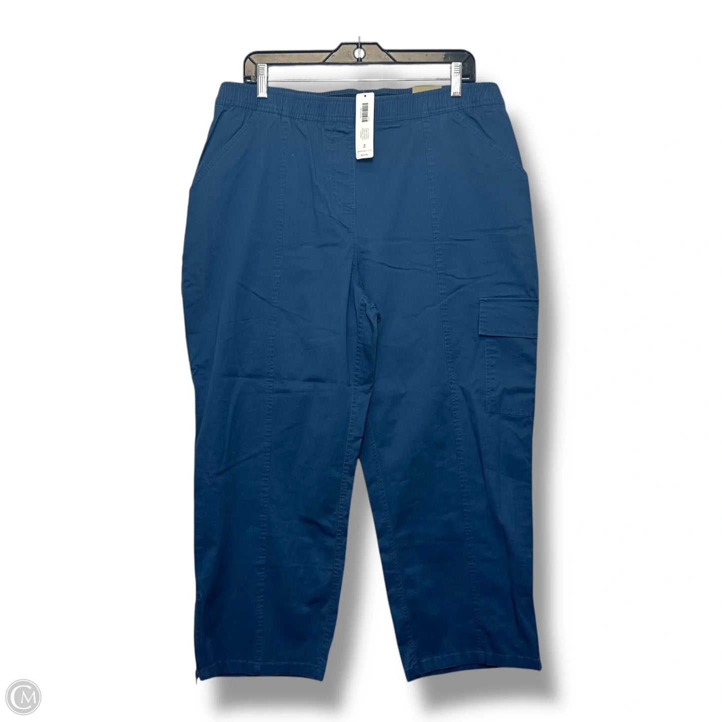 Pants Cargo & Utility By Chicos In Blue, Size: Xl