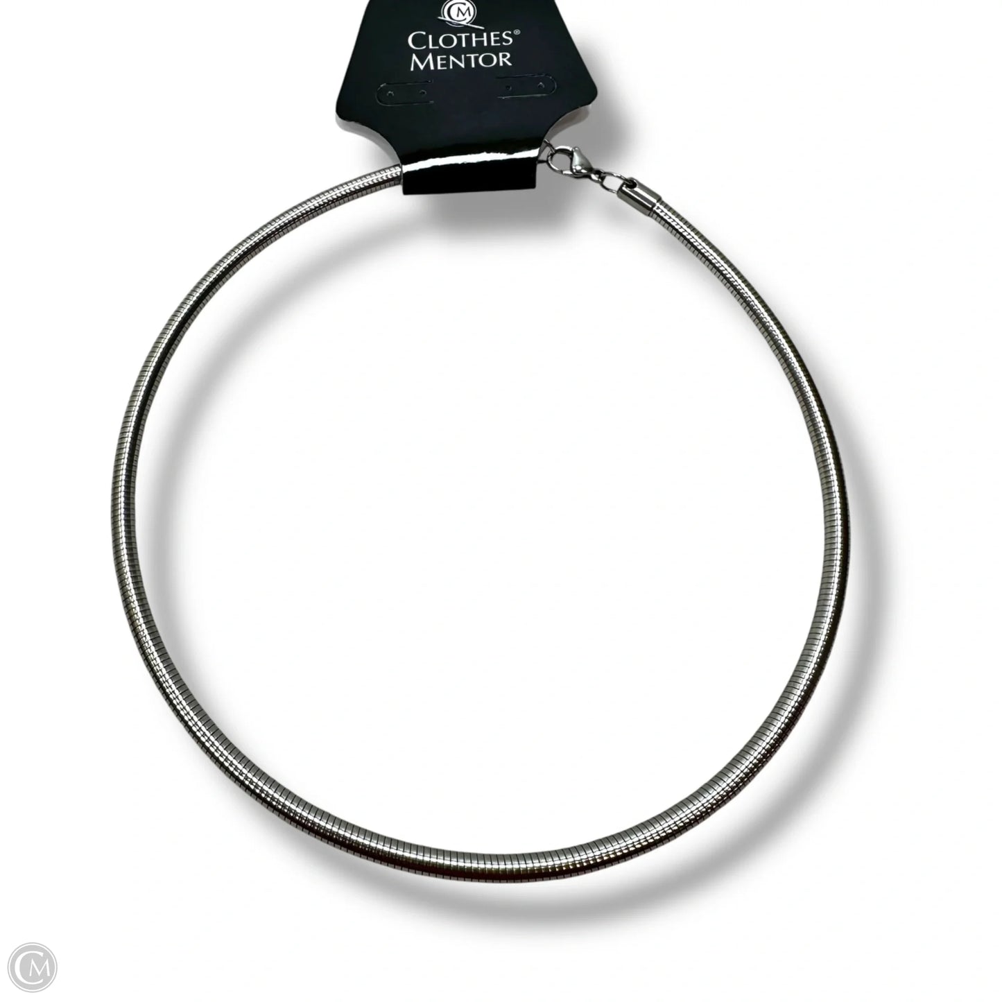 Stainless steel Necklace By Clothes Mentor