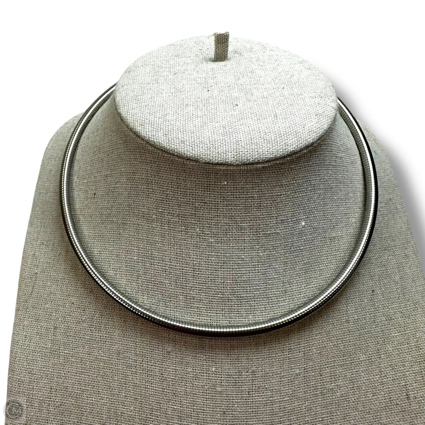 Stainless steel Necklace By Clothes Mentor