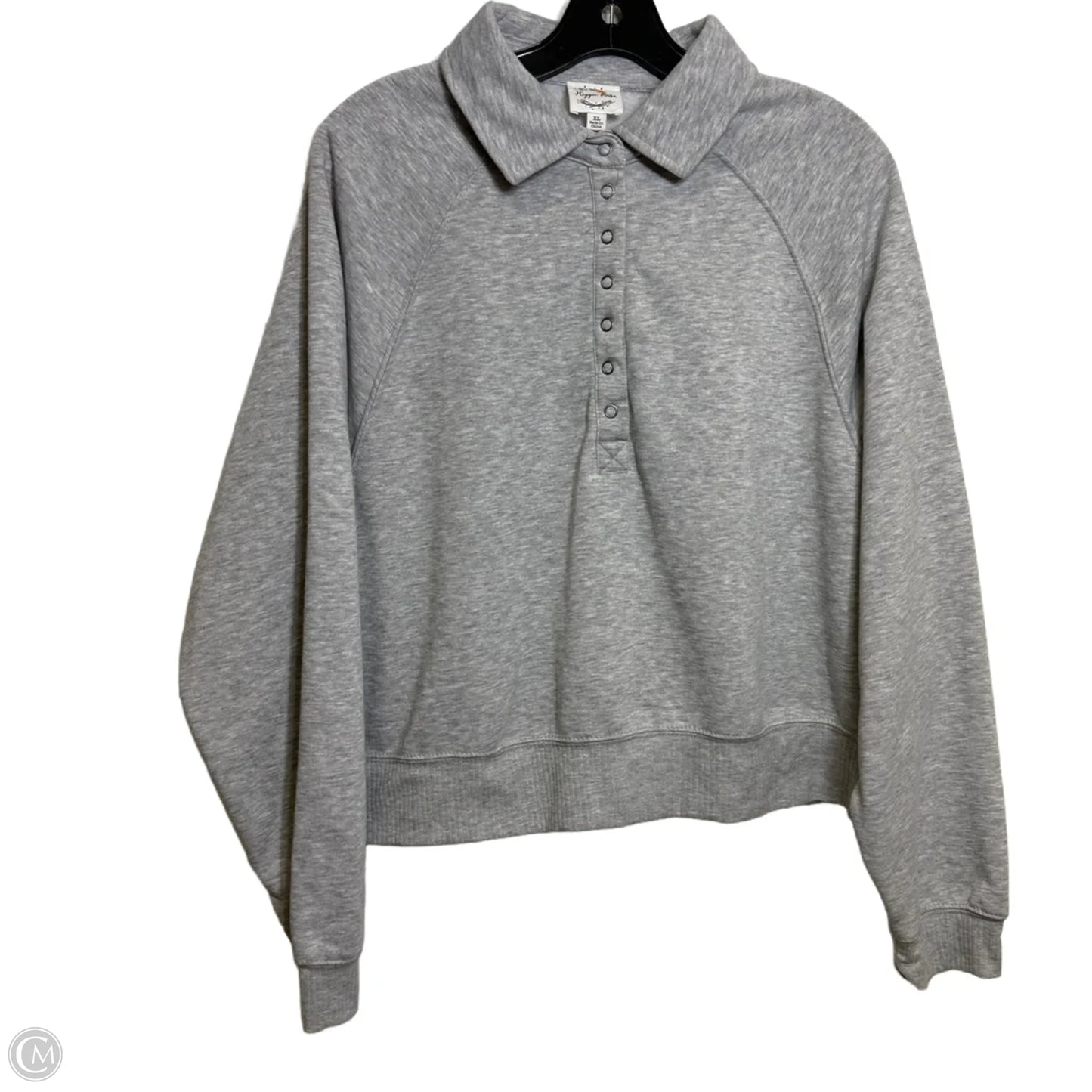 Top Long Sleeve By Hippie Rose In Grey, Size: Xl