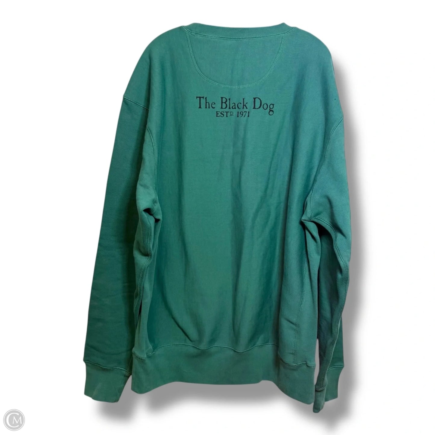 Sweatshirt Crewneck By Clothes Mentor In Teal, Size: 3x