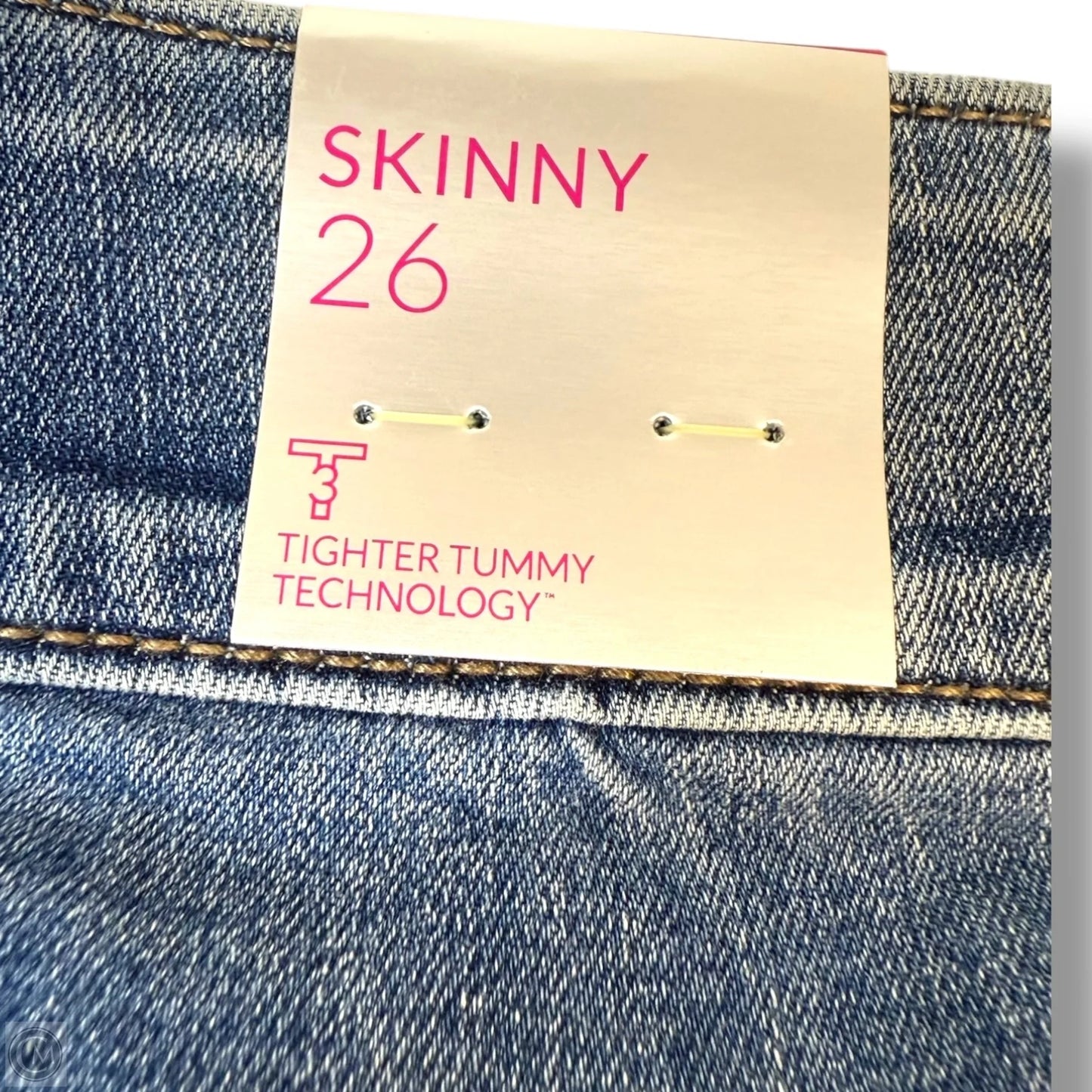Jeans Skinny By Lane Bryant In Blue Denim, Size: 26