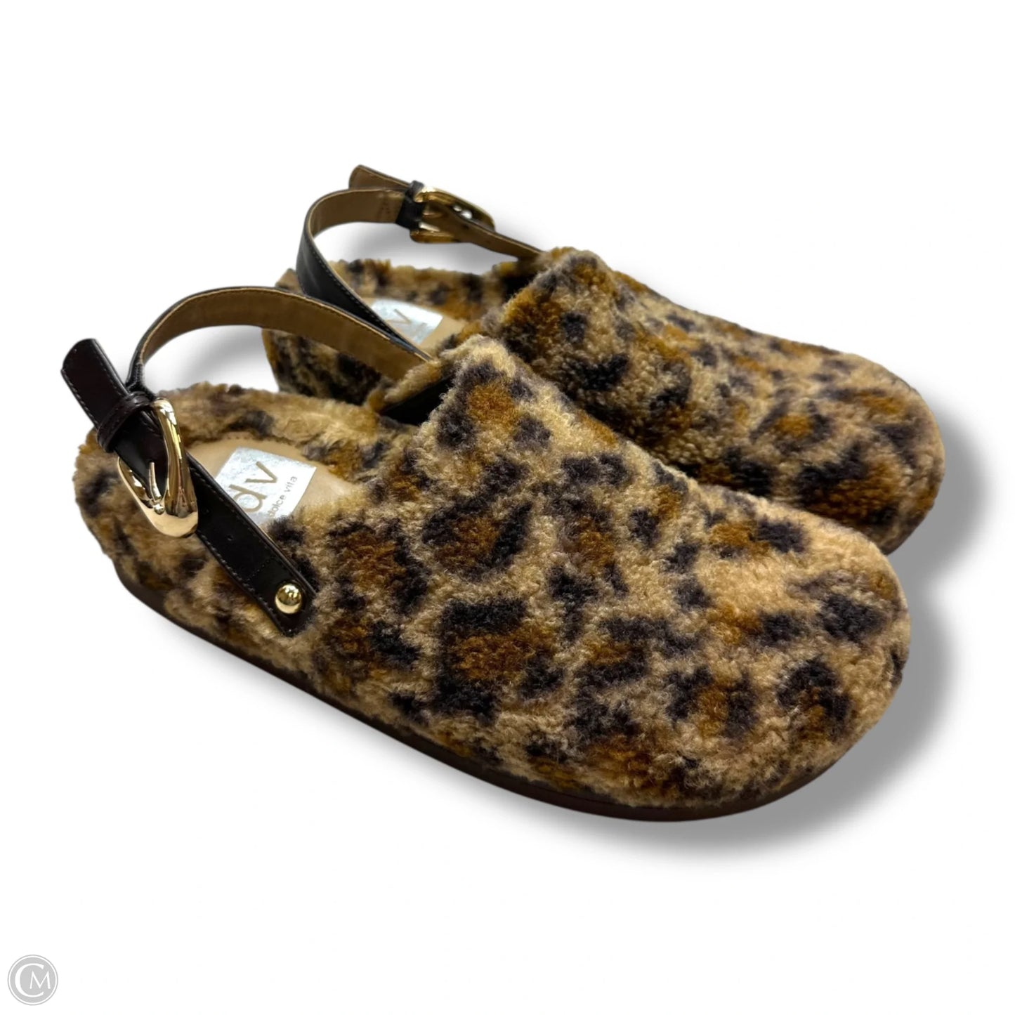 Shoes Flats By Dolce Vita In Leopard Print, Size: 8.5