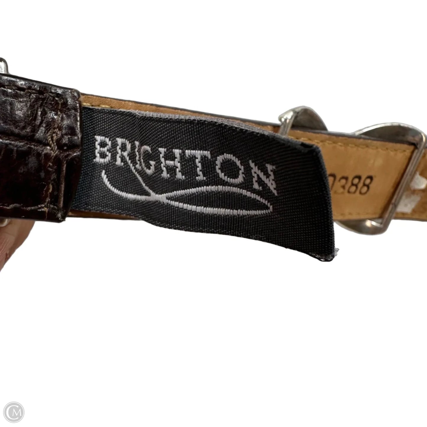 Belt By Brighton, Size: Medium/32