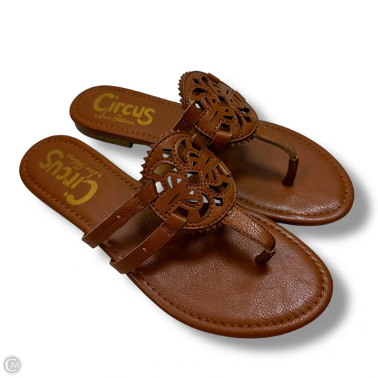 Sandals Flats By Circus By Sam Edelman In Brown, Size: 9