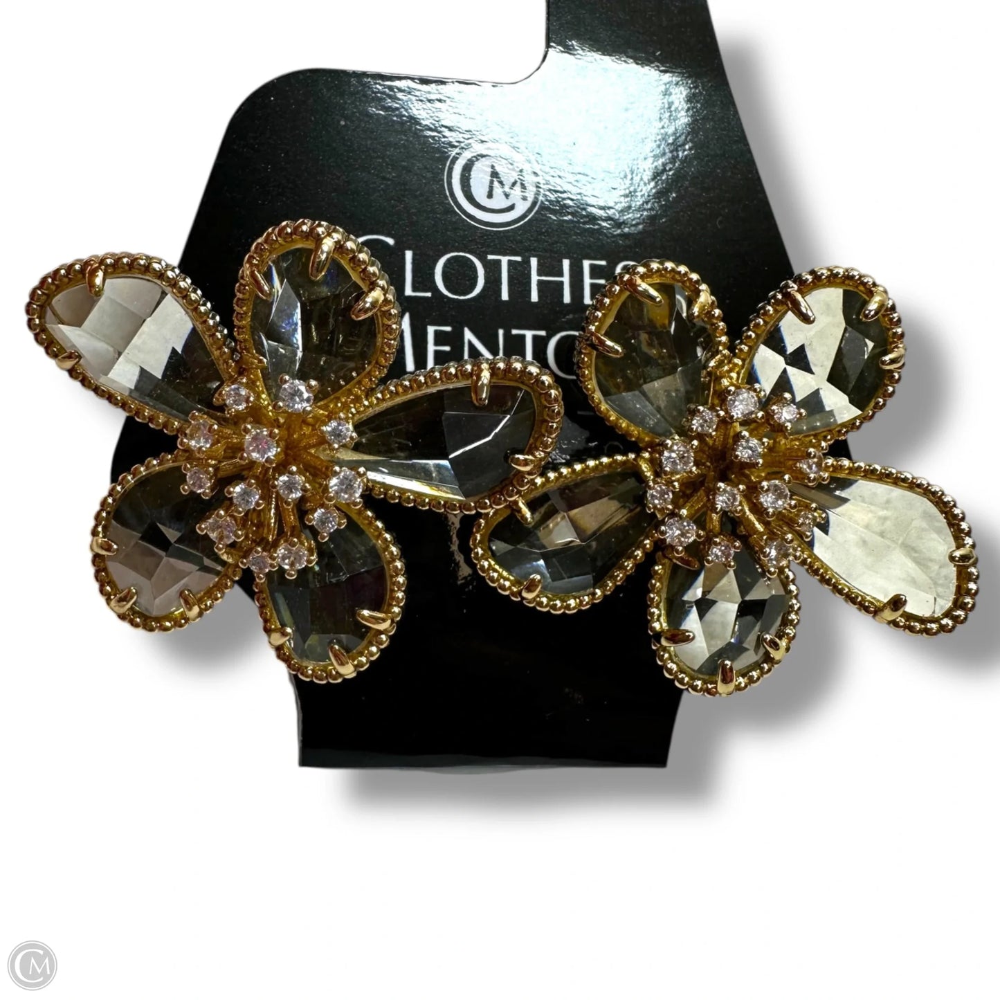 Earrings Other By Clothes Mentor
