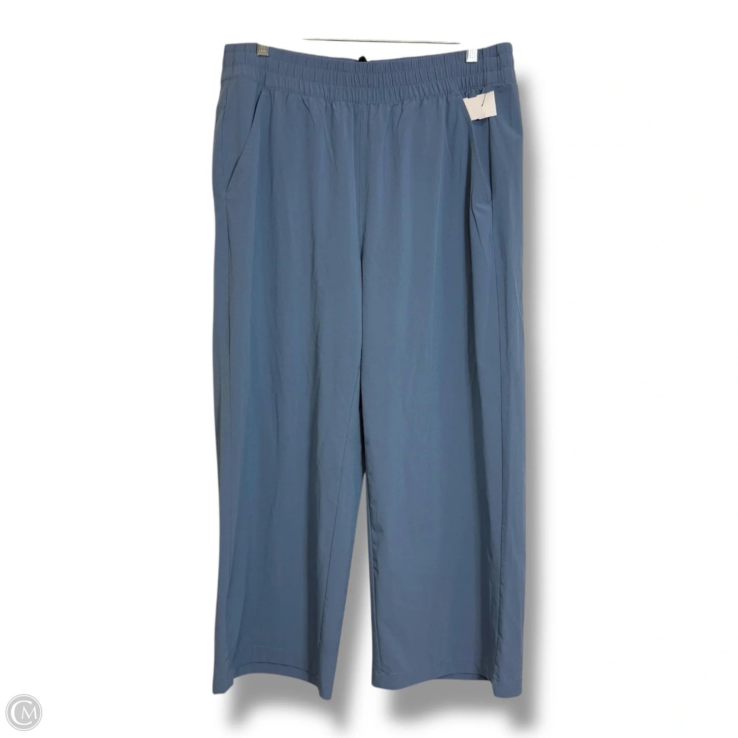 Athletic Pants By Eddie Bauer In Blue, Size: L