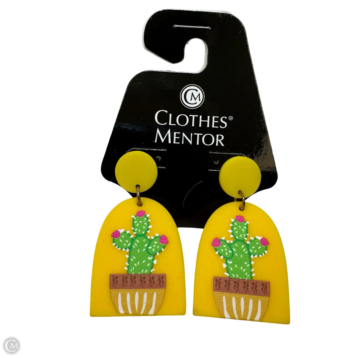 Earrings Dangle/drop By Clothes Mentor