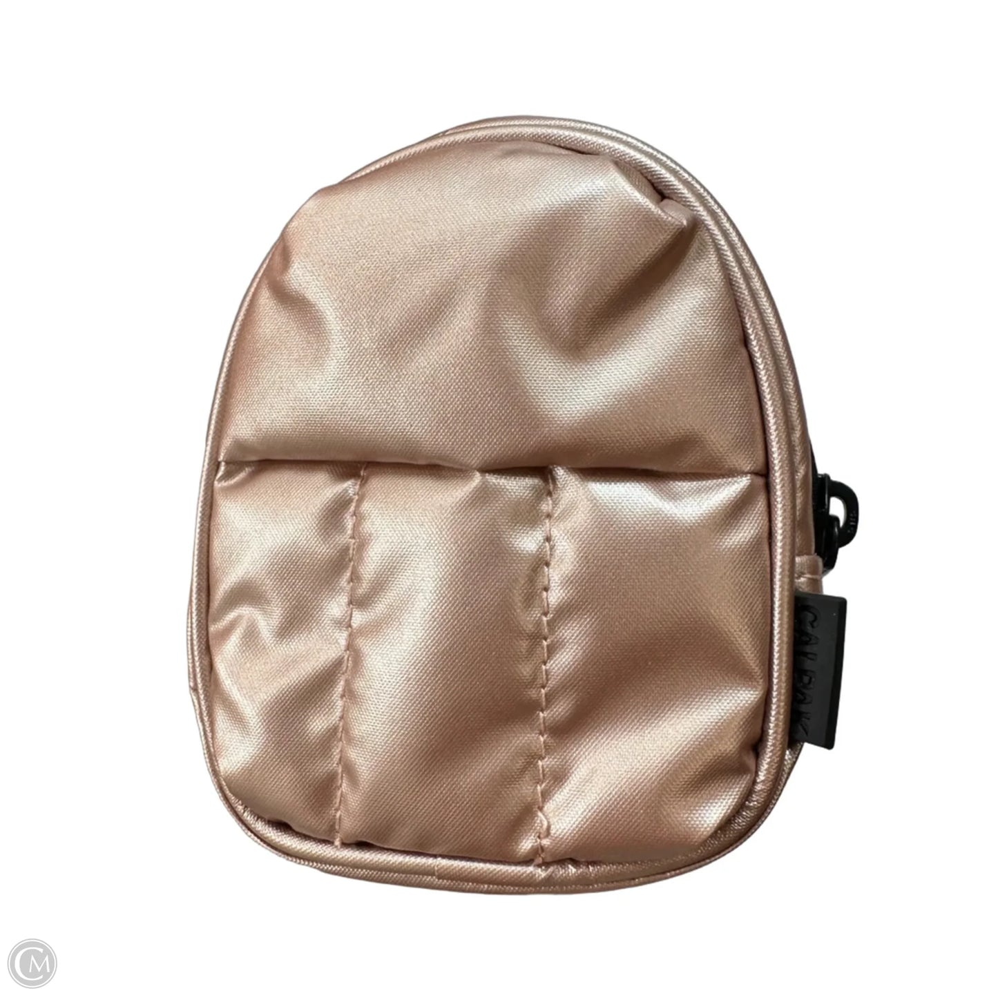 TRAVEL TOTE & keychain By CALPAK, Size: Large