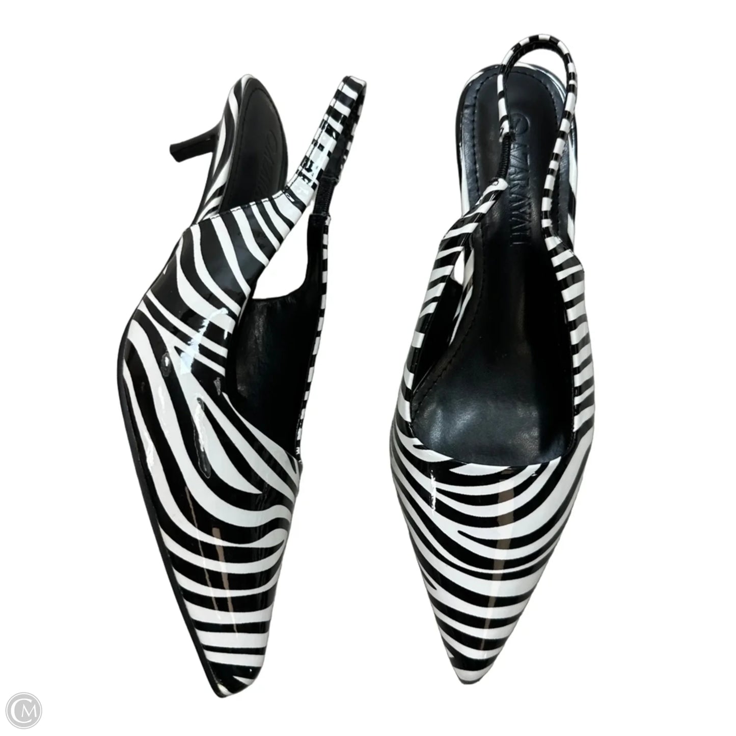 Shoes Heels Kitten By Clothes Mentor In Zebra Print, Size: 7