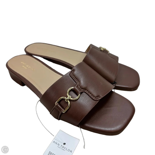 Sandals Flats By Ann Taylor In Brown, Size: 7