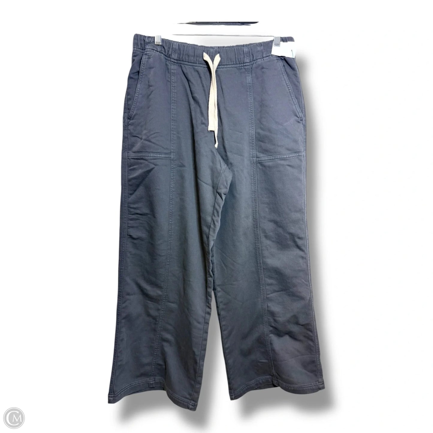 Pants Other By Aerie In Grey, Size: L