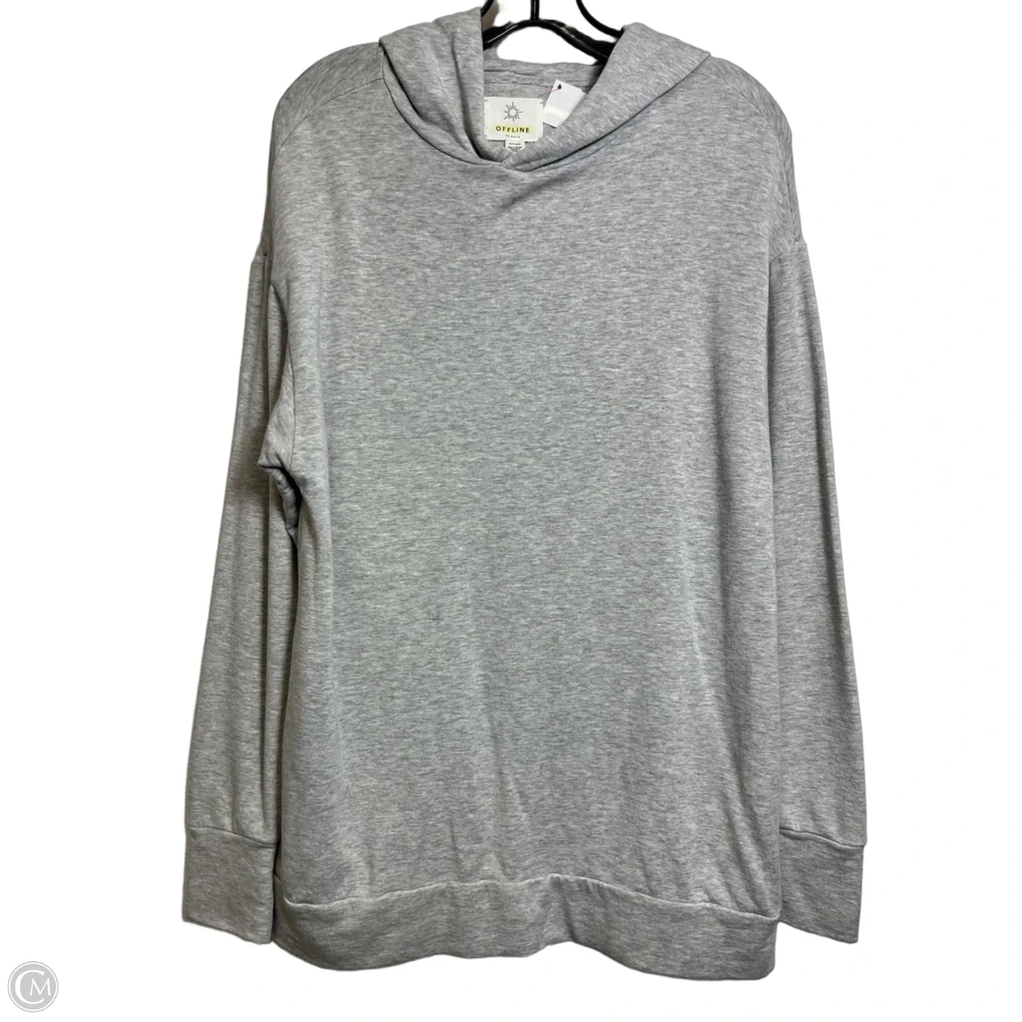 Sweatshirt Hoodie By Aerie In Grey, Size: Xs