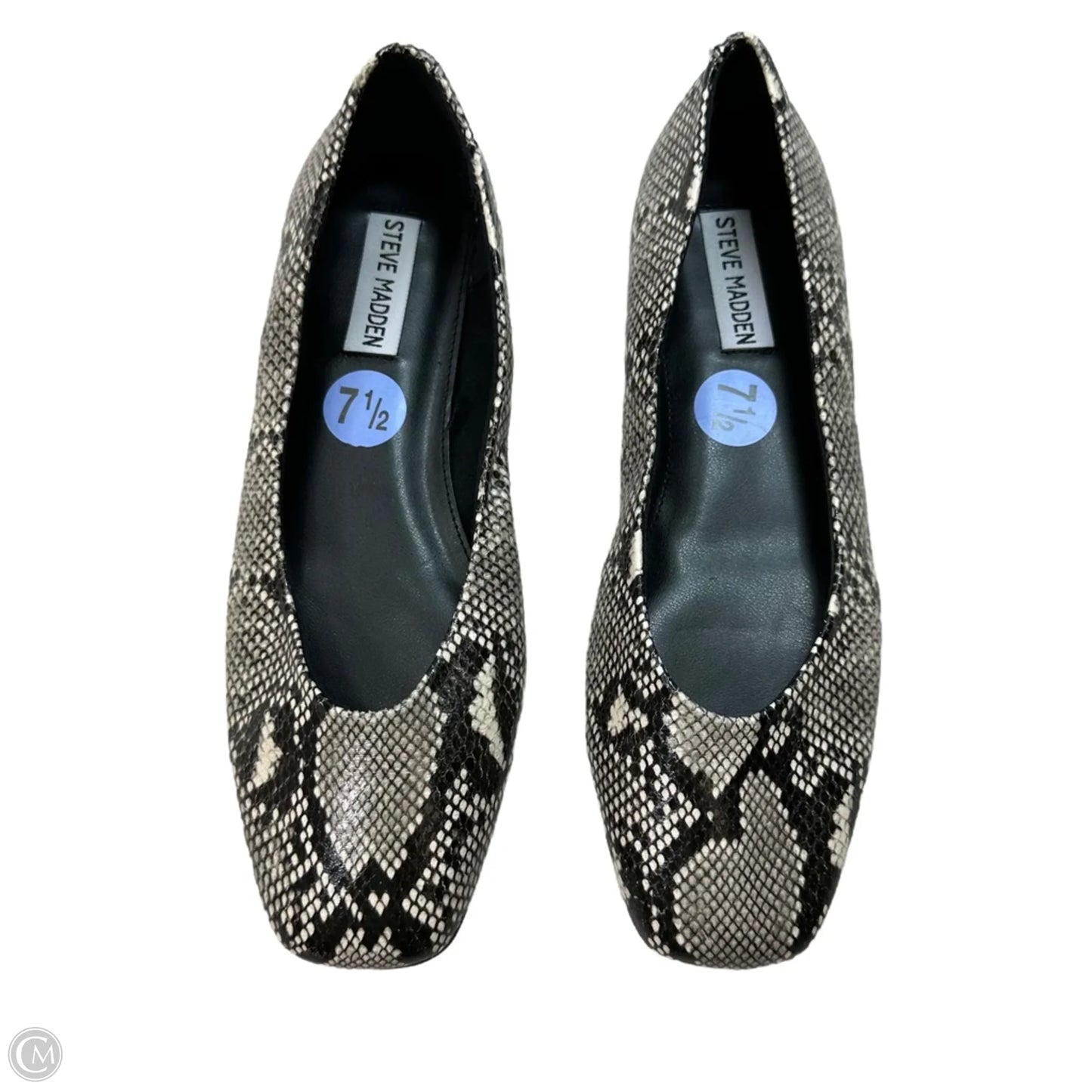 Shoes Flats By Steve Madden In Animal Print, Size: 7.5