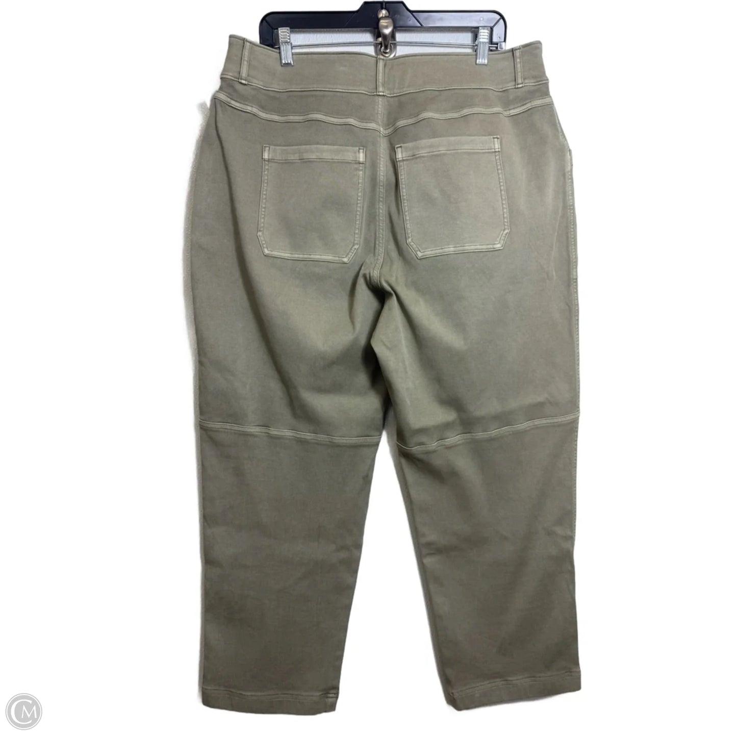 Pants Other By Spanx In Green, Size: 2x