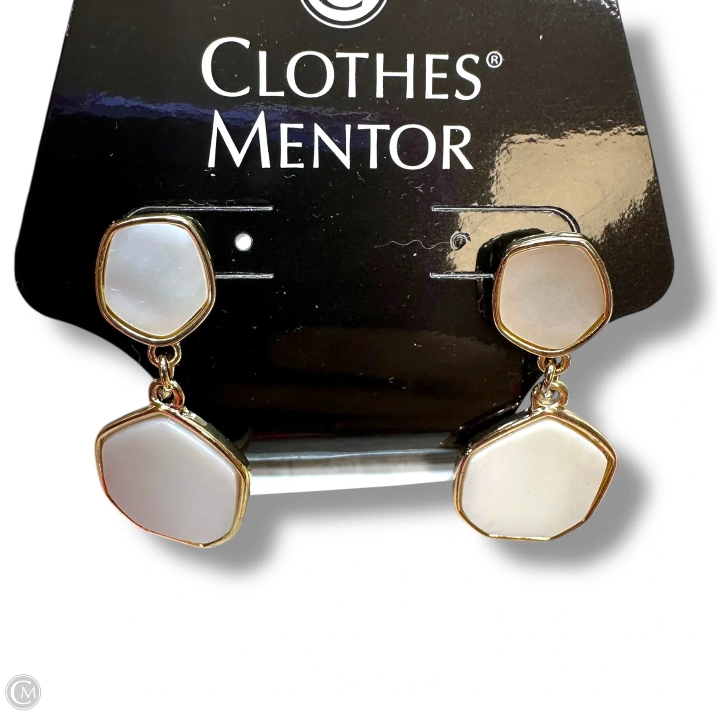 Earrings Dangle/drop By Clothes Mentor