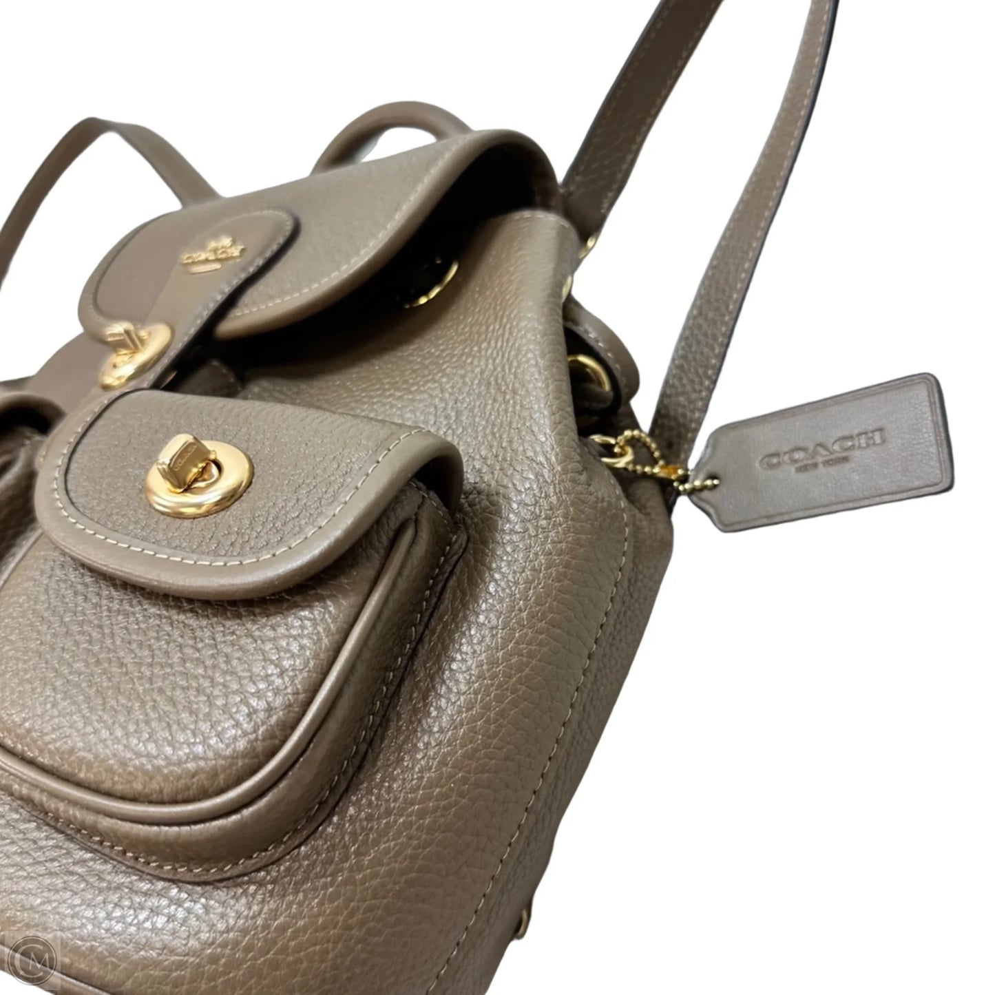 Backpack Designer By Coach, Size: Medium