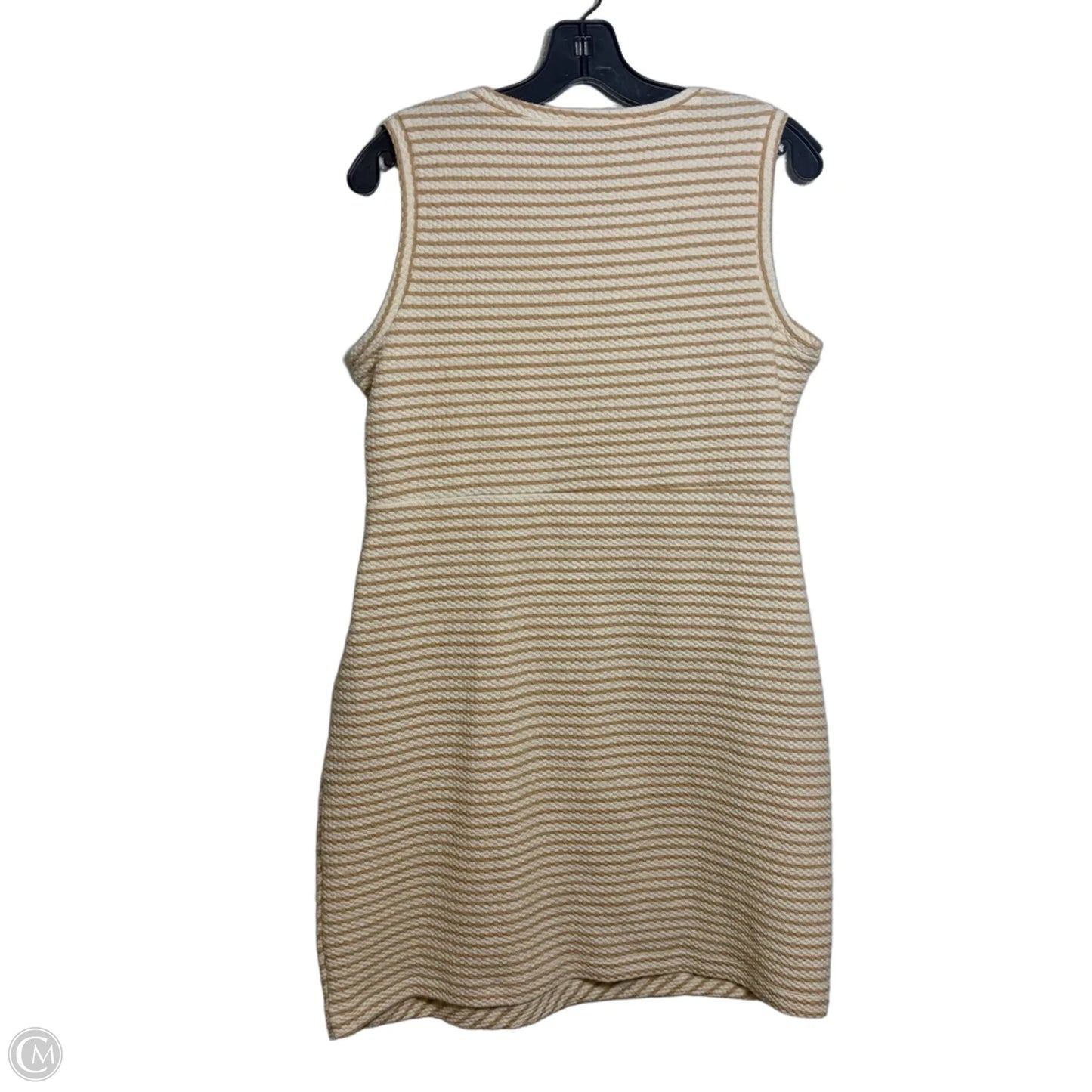 Dress Casual Short By Loft In Striped Pattern, Size: Mp
