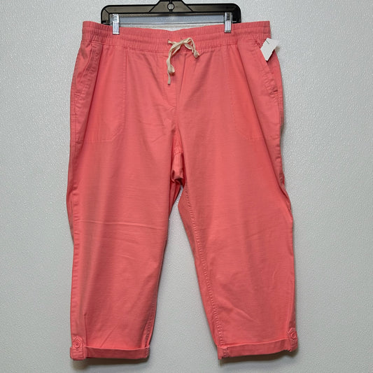 Coral Pants Ankle Talbots O, Size 2x petite