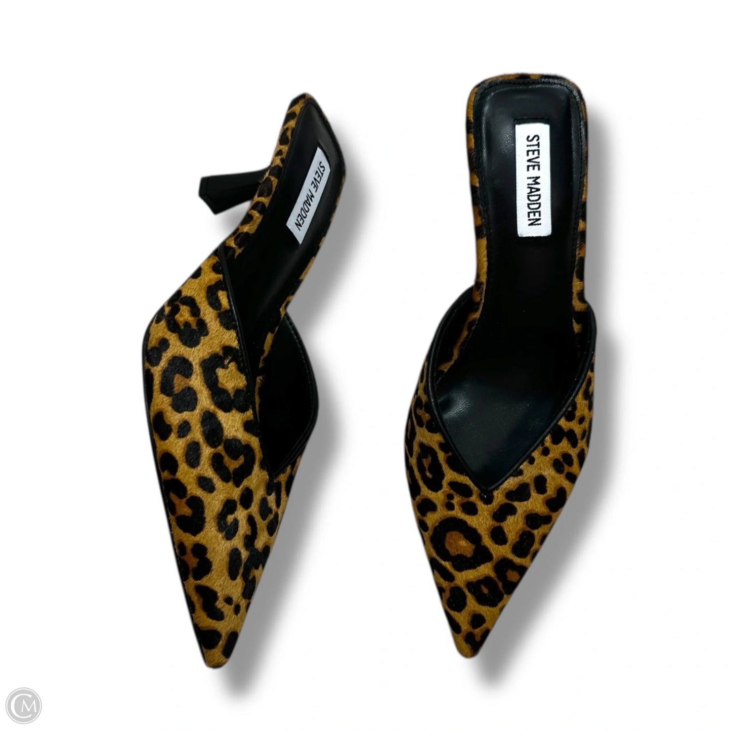 Shoes Heels Kitten By Steve Madden In Animal Print, Size: 8