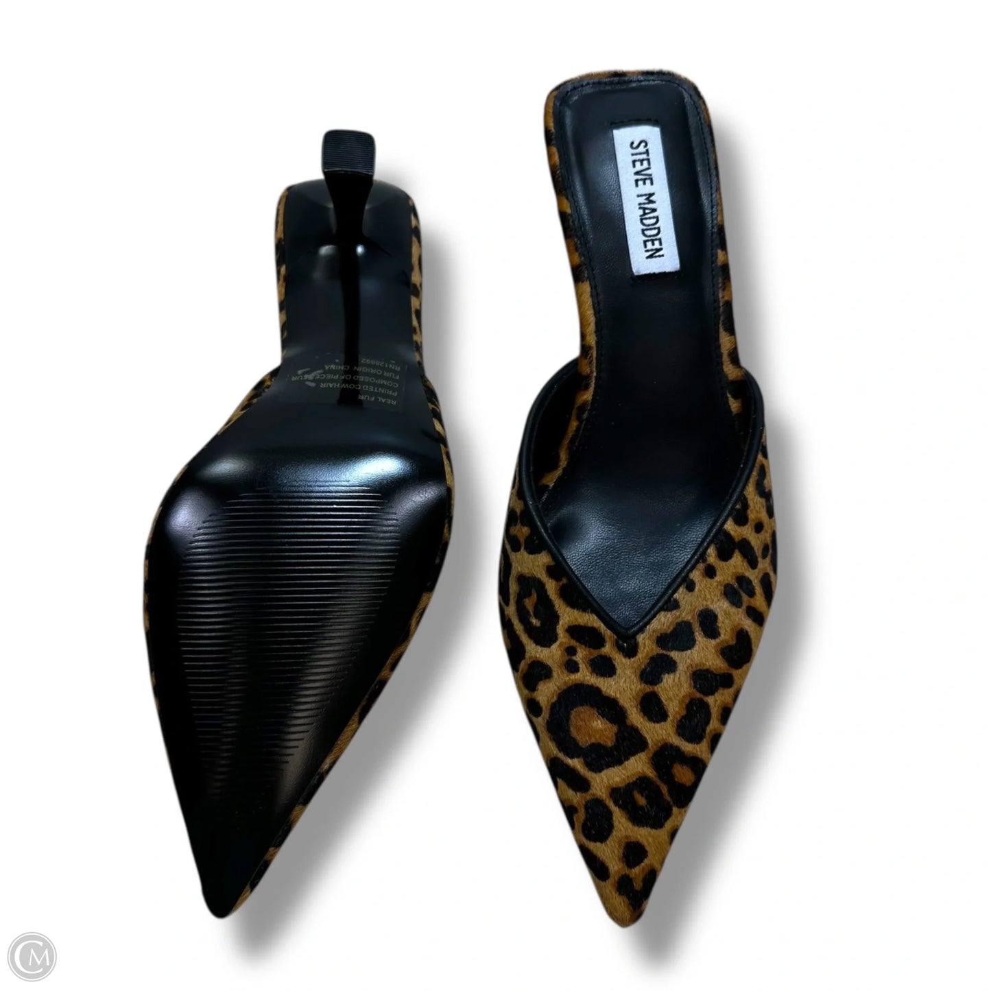 Shoes Heels Kitten By Steve Madden In Animal Print, Size: 8