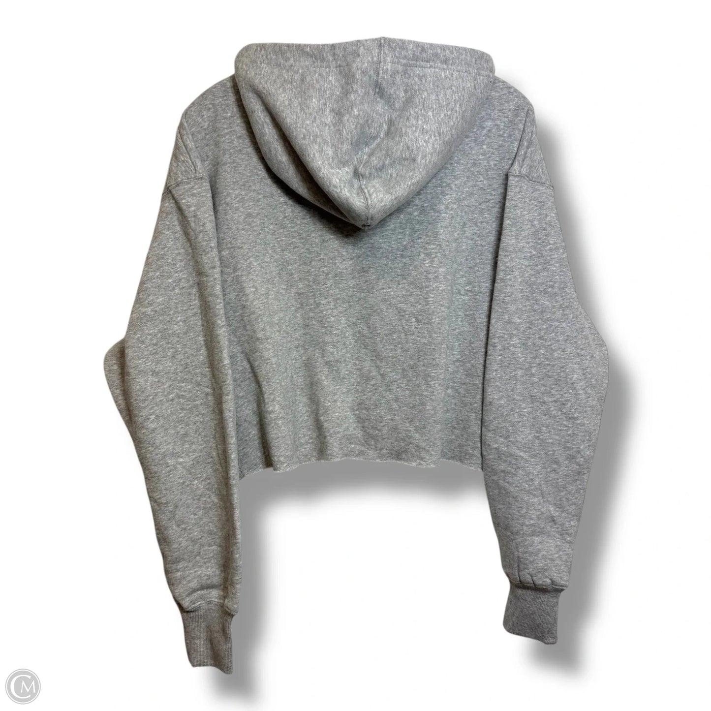 Sweatshirt Hoodie By Wildfox In Grey, Size: Xs
