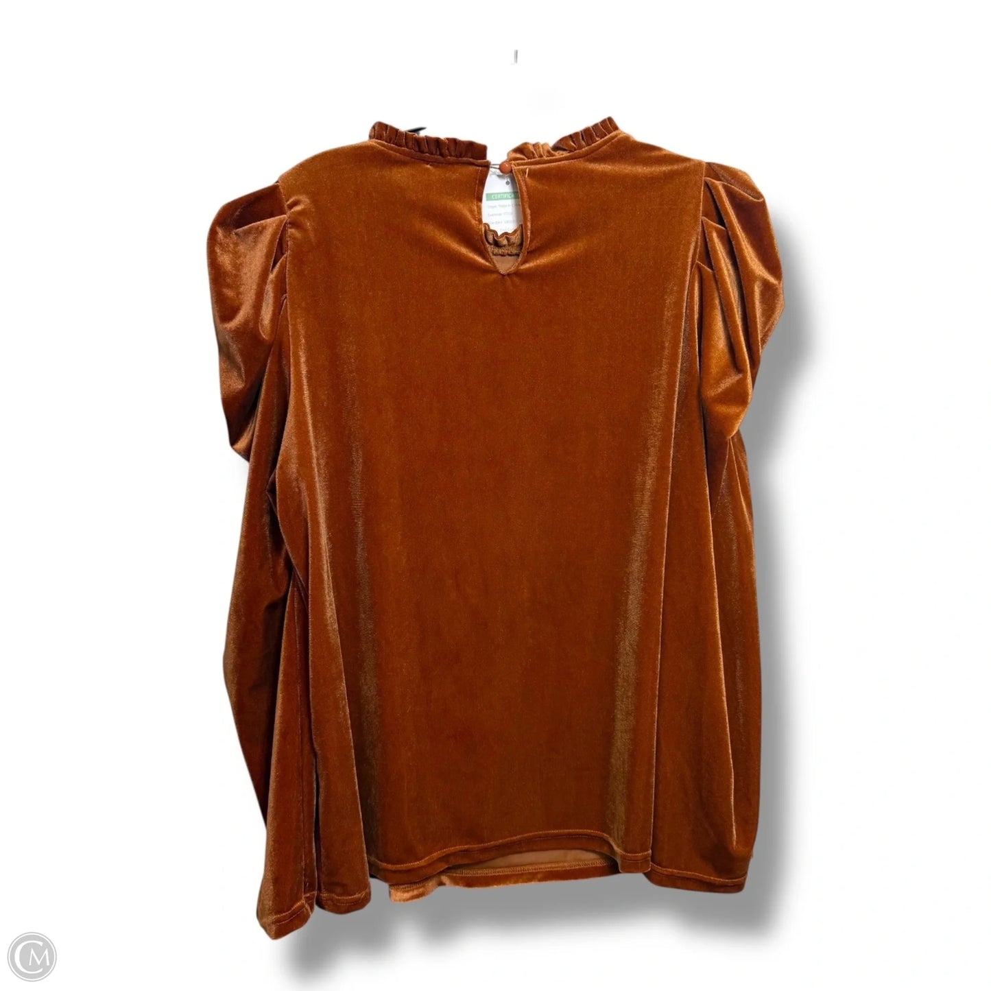 Top Long Sleeve By Clothes Mentor In Copper, Size: L