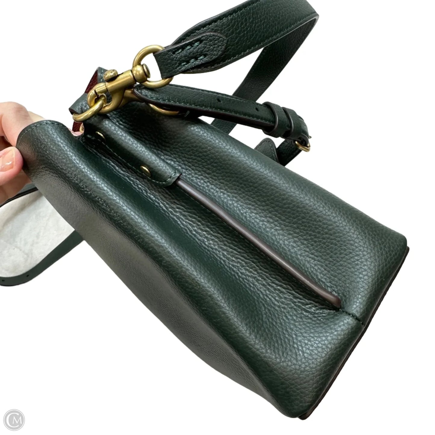 Willow Bucket Bag Crossbody Designer By Coach, Size: Medium