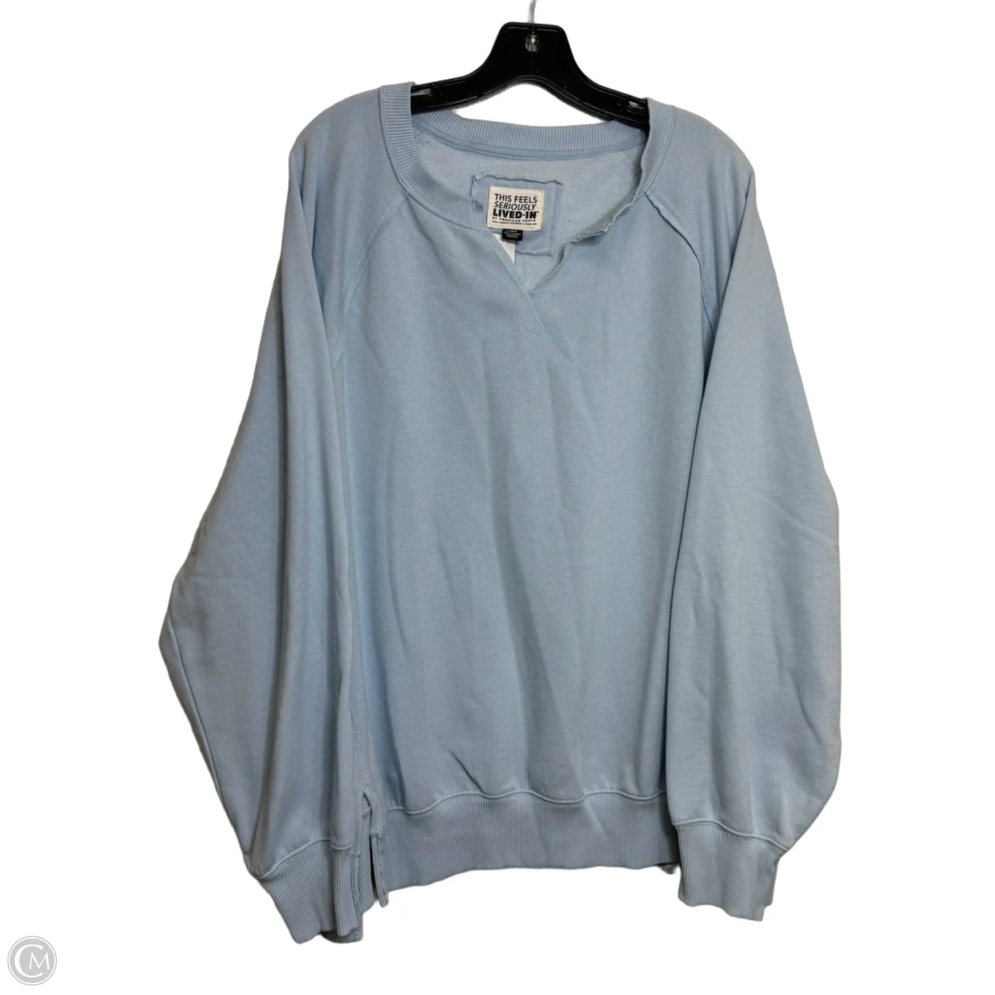 Sweatshirt Crewneck By American Eagle In Blue, Size: L