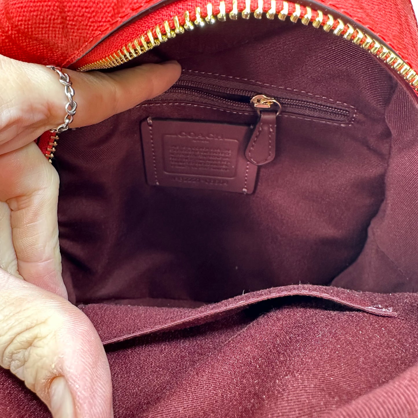 Backpack Designer By Coach, Size: Small