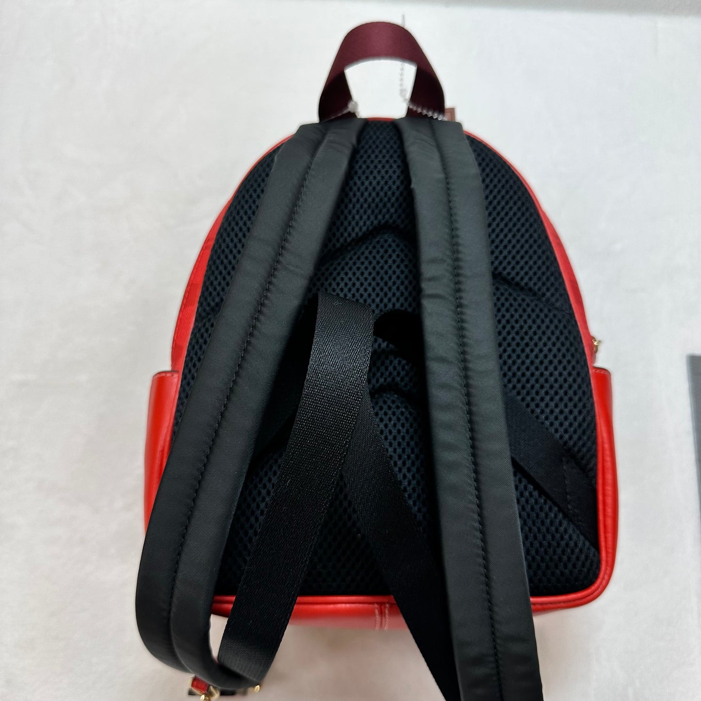 Backpack Designer By Coach, Size: Small