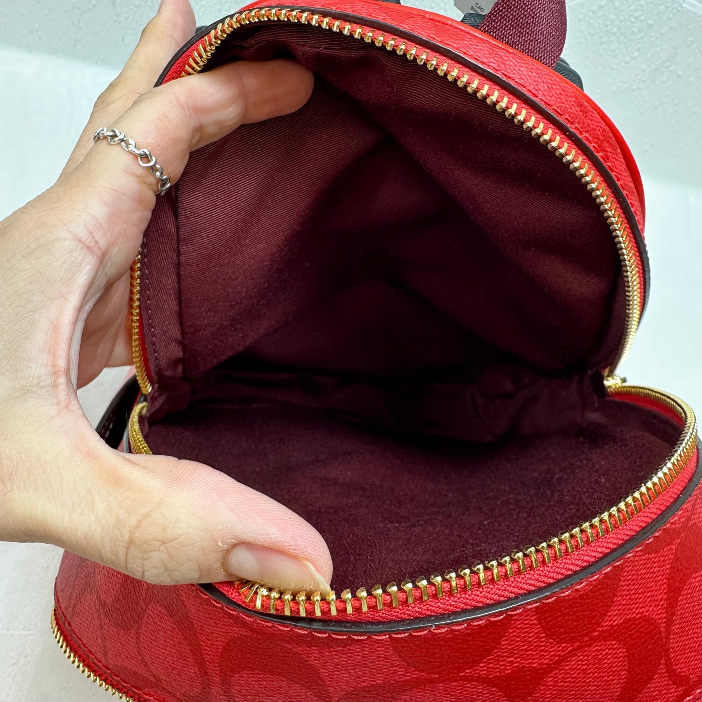 Backpack Designer By Coach, Size: Small