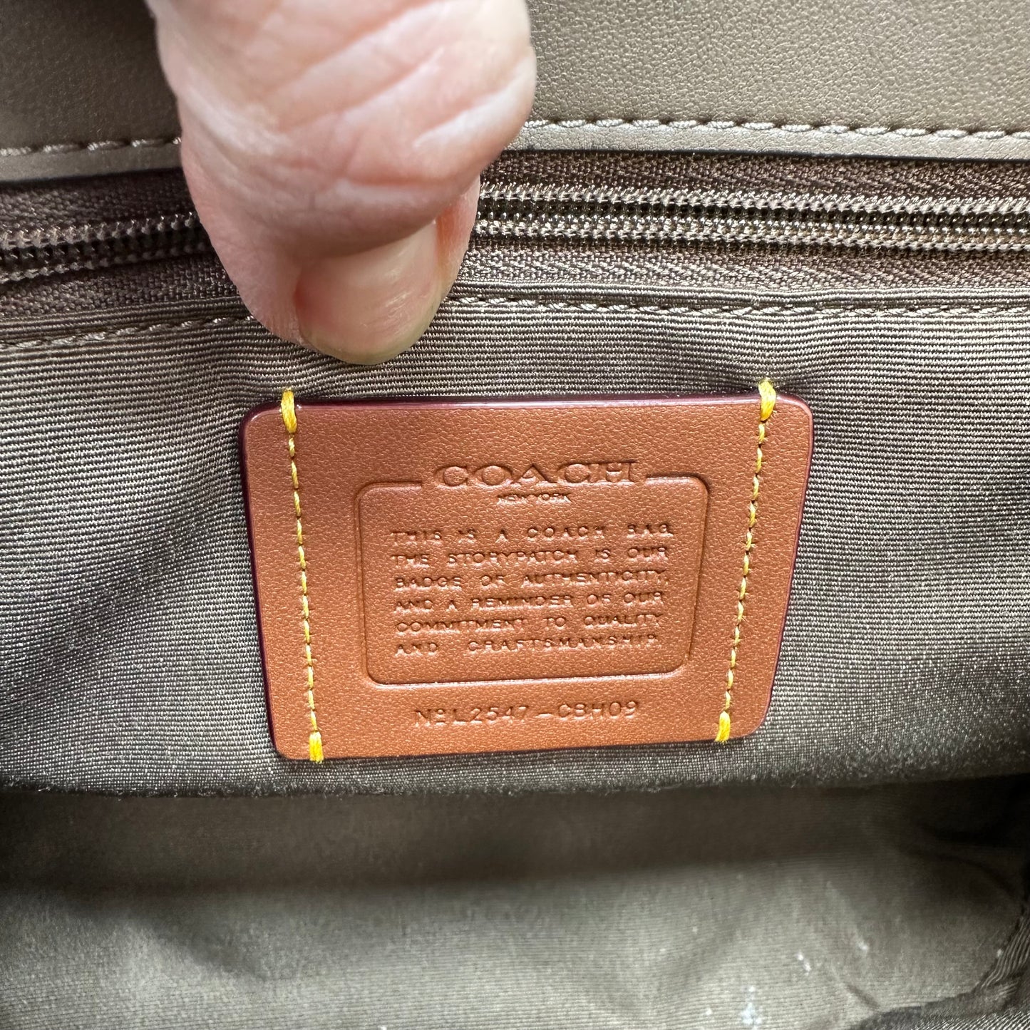 Backpack Designer By Coach, Size: Medium